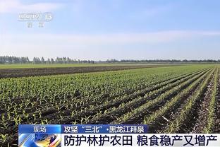 药厂飞翼❗23岁弗林蓬21场7球8助？身价5000万解约金4000万❗